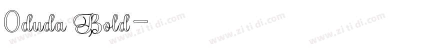 0duda Bold字体转换